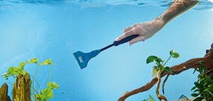 Aquarium problems.jpg Aquarium problems.jpg